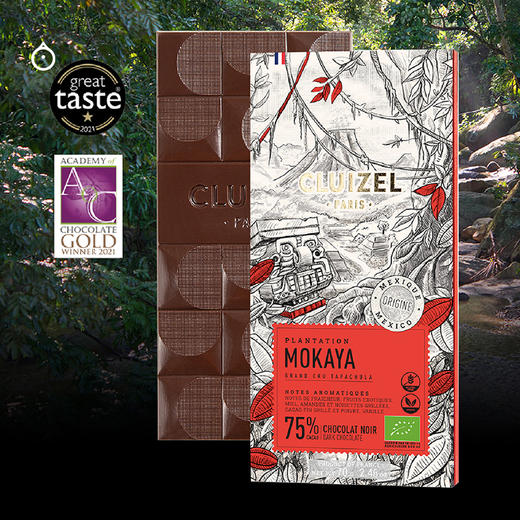 企鹅市集|法国Michel Cluizel巧克力排块70g 单源黑巧系列 多款可选 商品图6