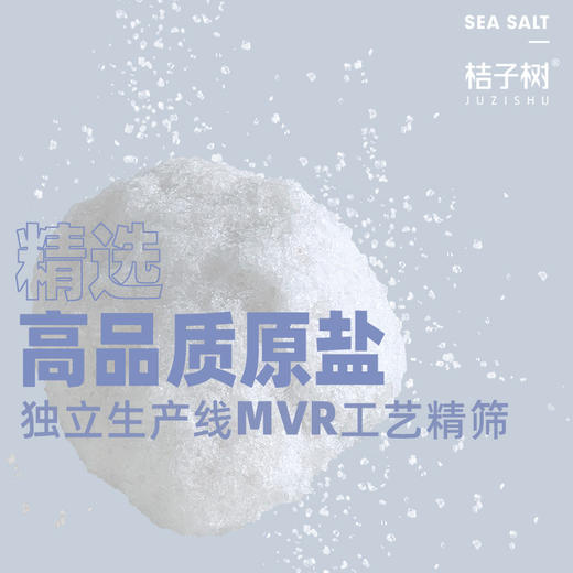 【超值10袋装】桔子树海精盐（未加碘）无碘海盐/食盐 无抗结剂未加碘食用盐 厨房食材调味 225g*10袋 商品图3