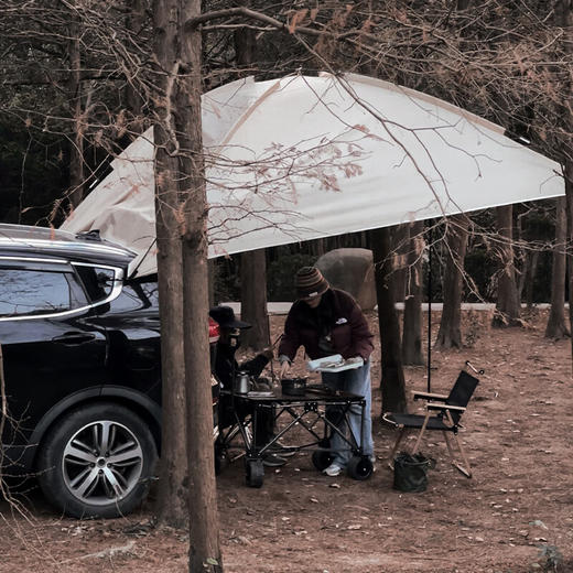 洛克猩球  车尾帐  RAT021 商品图1