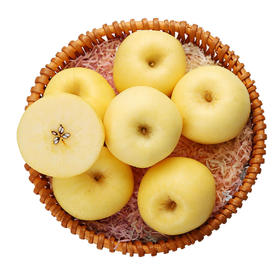 冬恋·山东维纳斯苹果8-9个礼盒装 (2kg)