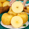 山东黄金维纳斯富士苹果，脆甜多汁，果香浓郁 商品缩略图1