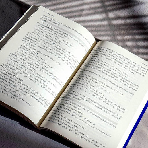 古代汉语 第四版 程观林 高校文科精品教材 古代文化知识 商品图12