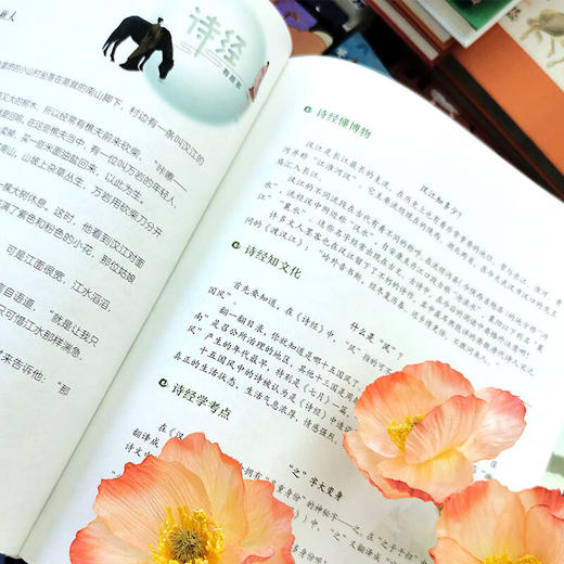 孩子读得懂的诗经一诗一画一故事《诗经》又美又好懂 这才是真正的大语文！ 商品图3