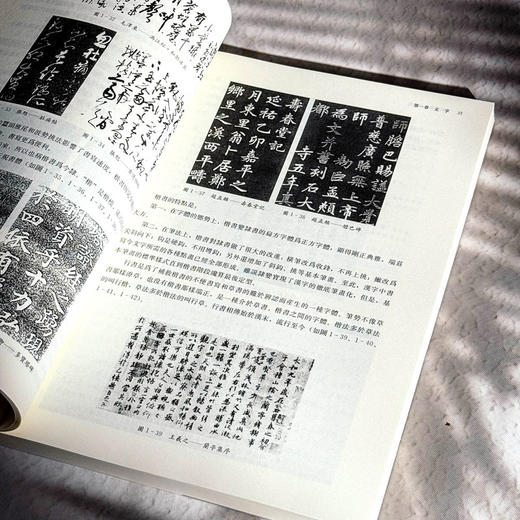 古代汉语 第四版 程观林 高校文科精品教材 古代文化知识 商品图11