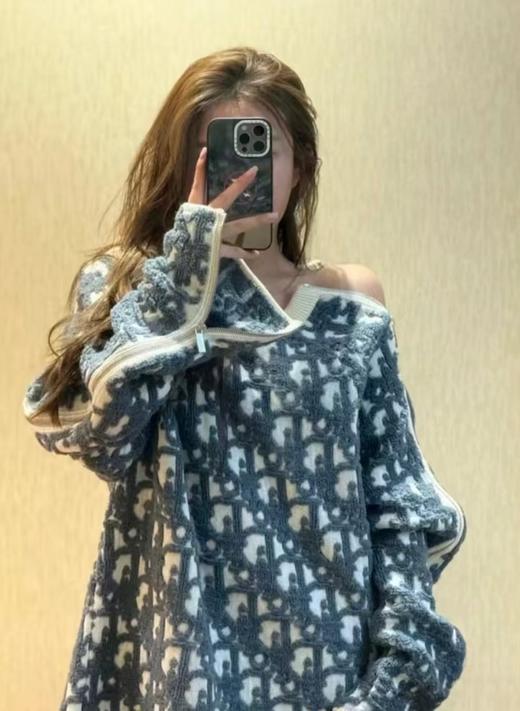 D家 毛圈纱拉链毛衣（DY） 商品图0