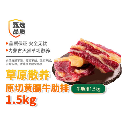 【沙漠甜心】内蒙古大草原散养原切无添加牛肋排 1.5kg/袋（顺丰） 商品图2