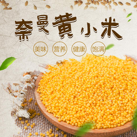 【沙漠甜心】黄小米2kg/盒 商品图2