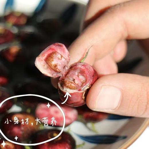 【红果参】果实饱满 新鲜圆润 酸甜美味 果肉细腻 美味爽口 果实色泽紫黑色 4种规格任选 商品图3