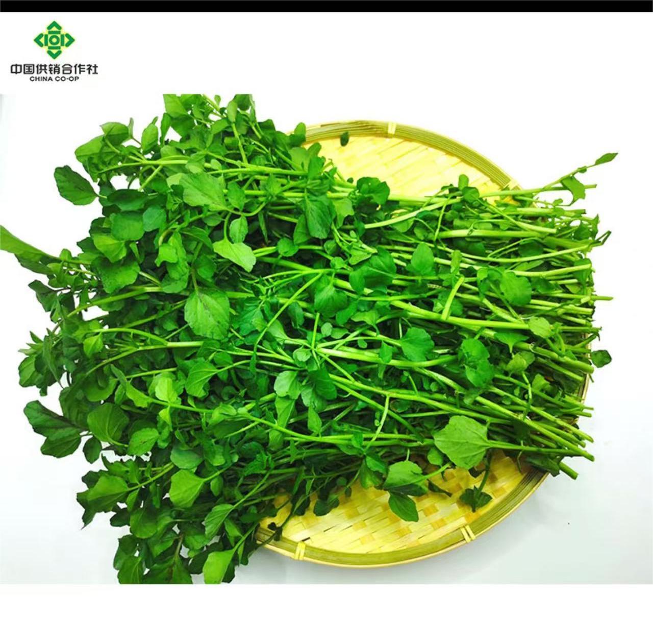 纯生态绿色产品：西洋菜