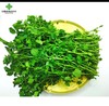 纯生态绿色产品：西洋菜 商品缩略图0