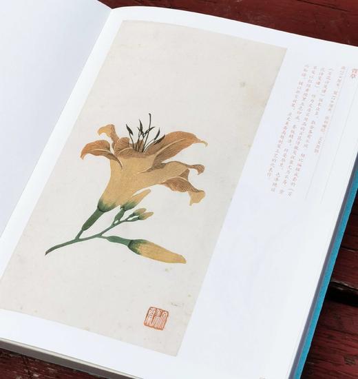 签名钤印本！！《夜雨集笺》，韩旭著，小16开，240页，平装，读库出品，新星出版社2024年10月一版一印。定价128，售价128 商品图8