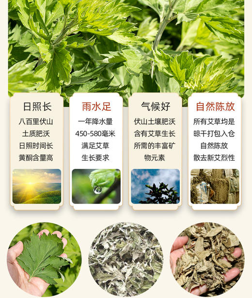 艾草经络按摩锤 商品图7