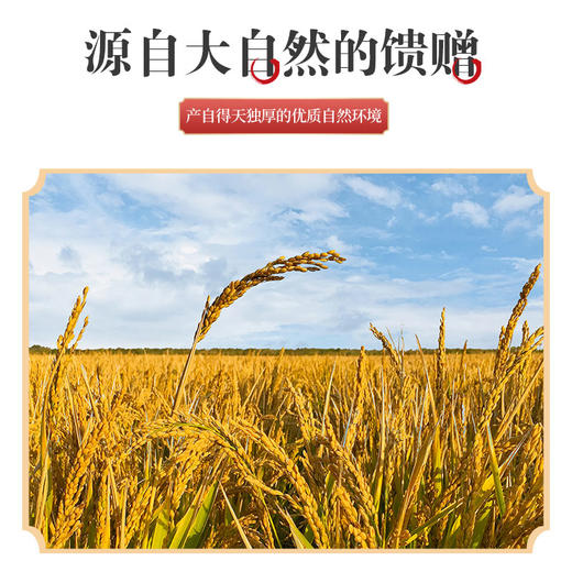【定丰农场】漠富硒糙米 2.5kg/盒 商品图4