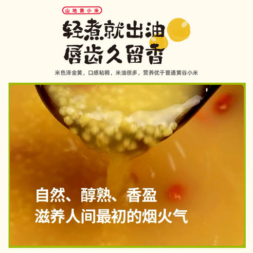 【定丰农场】奈曼山地黄小米 2.5kg/盒 商品图2