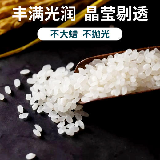 【定丰农场】珍珠香沙漠大米 5kg/袋 商品图3