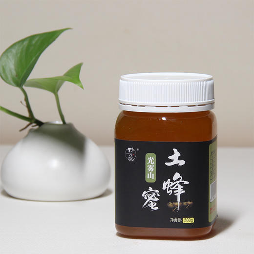 通江县野蕊光雾山土蜂蜜 商品图0