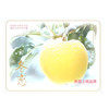冬恋·山东维纳斯苹果8-9个礼盒装 (2kg) 商品缩略图4