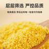 【定丰农场】奈曼山地黄小米 2.5kg/盒 商品缩略图3