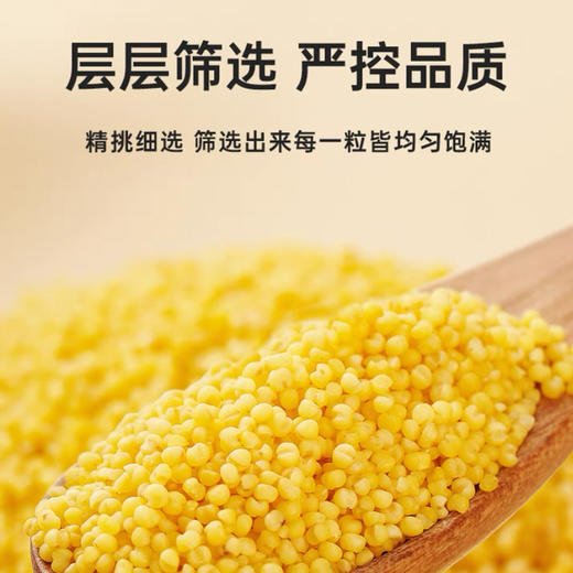 【定丰农场】奈曼山地黄小米 2.5kg/盒 商品图3