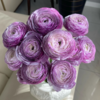 成功丨洋葱紫洋牡丹丨5支【稀有】 商品缩略图2