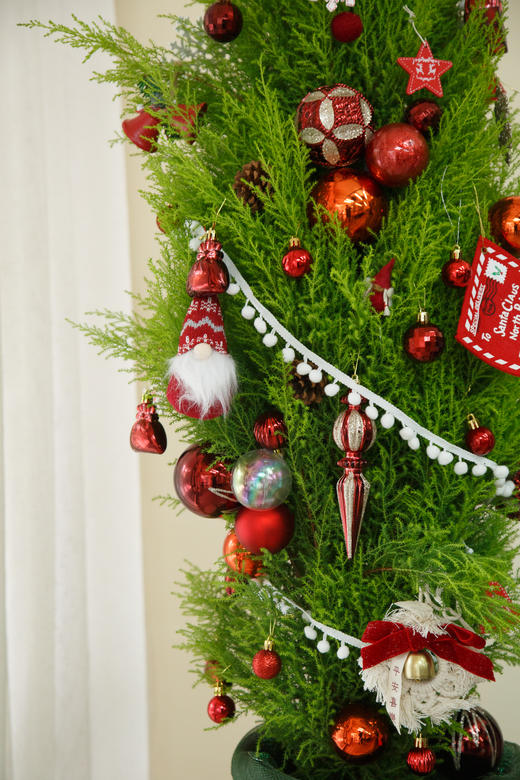 氛围感香松1.5M 商品图3