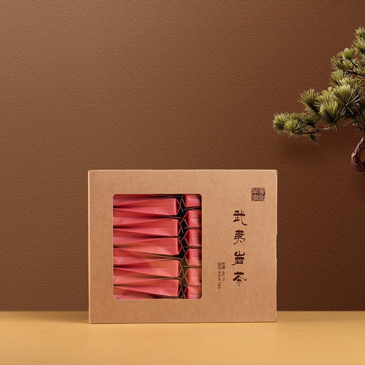 2025年武夷正岩北斗 商品图2