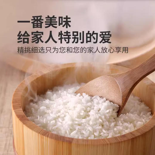 【定丰农场】稻花香2号沙漠大米 10kg/袋 商品图2