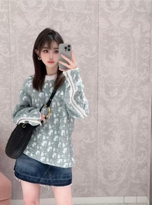 D家 毛圈纱拉链毛衣（DY） 商品图4