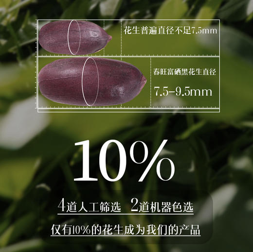 春旺富硒黑花生香脆零食下酒菜茶点黑皮酥脆富硒花生优选108g/袋 商品图7
