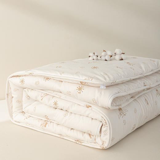 多喜爱美眠康被芯A类云柔亲肤棉花春秋被冬被 商品图7