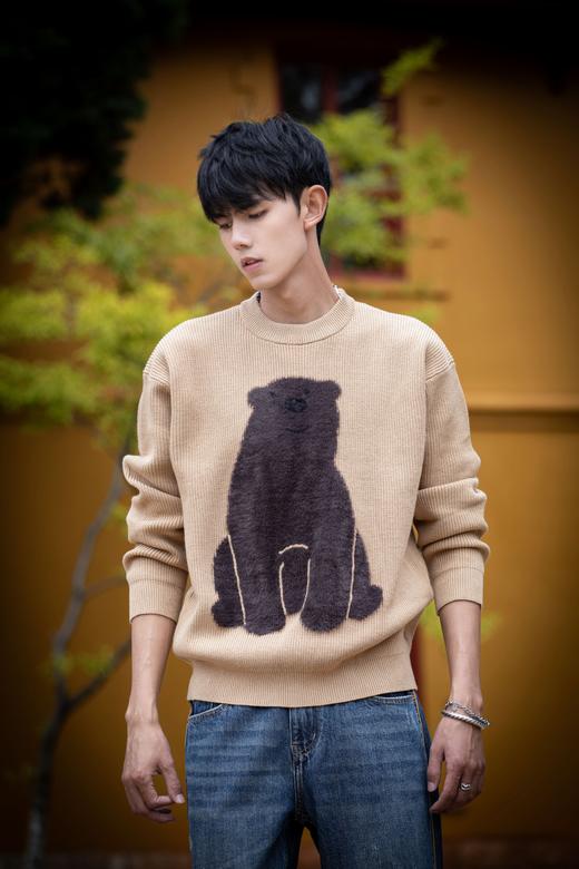 W332843190短绒小熊针织衫 商品图2