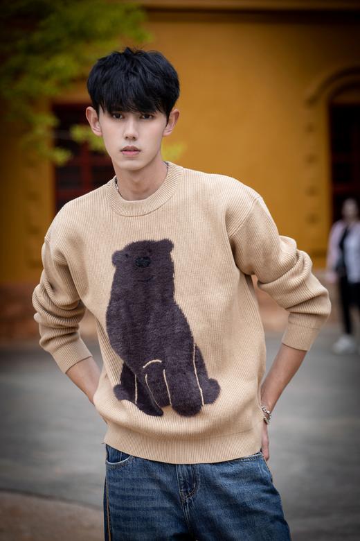 W332843190短绒小熊针织衫 商品图0
