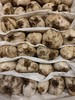 离太阳最近的 鲜雪百合 500g以上，多规格 【基地直发】产地：云南香格里拉 商品缩略图4