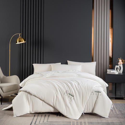 多喜爱美眠康 小蚕芯柔眠被春秋被/冬被/子母被【10%桑蚕丝+90%蓬松纤维】【亲肤绵柔面料】 商品图2