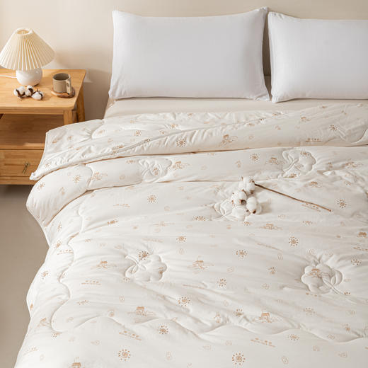 多喜爱美眠康被芯A类云柔亲肤棉花春秋被冬被 商品图1