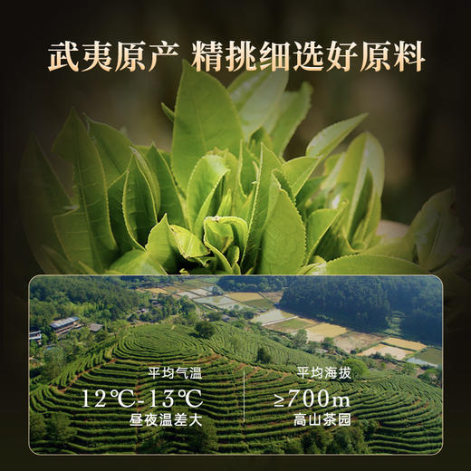 华祥苑-大圆罐武夷山水仙256g岩茶乌龙茶大罐装 商品图3