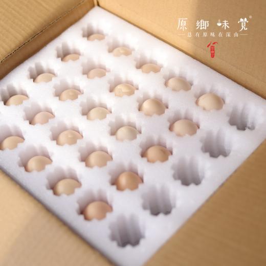 生态土鸡蛋（基地直发-顺丰包邮）|  30枚/盒，来自山东济南，生产者：田海平【合作生产，公平贸易】 商品图6