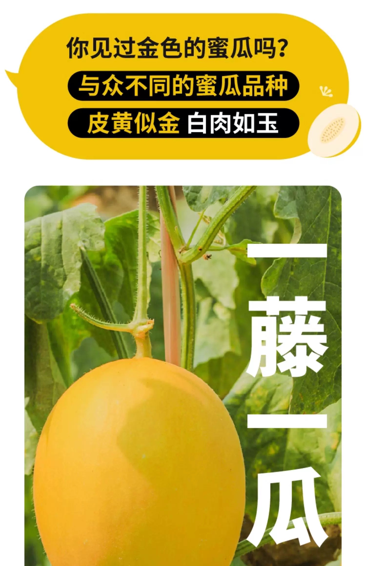 大成红利优选一年持有混合发起A