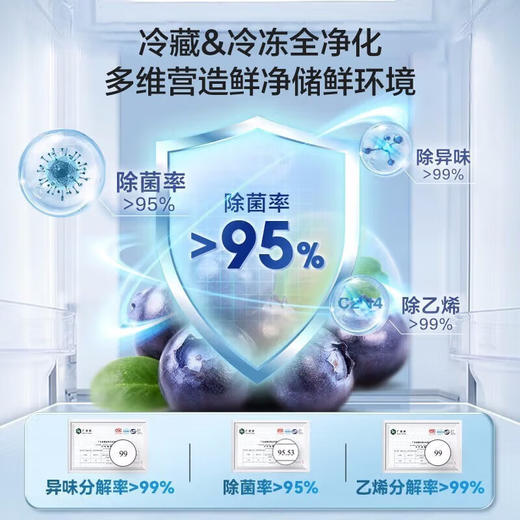 容声556升冰箱双开门家用对开门一级能效变频风冷无霜超大容量超薄电冰箱双门 556WRS1HP 商品图2