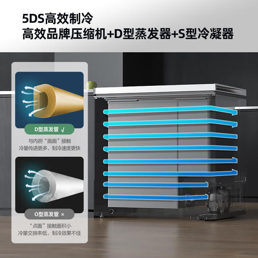 303升智能减霜单温家用商用冷柜 BG30CD 商品图5