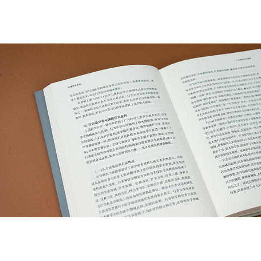 法理学及其他 卓泽渊著 法律出版社 商品图4