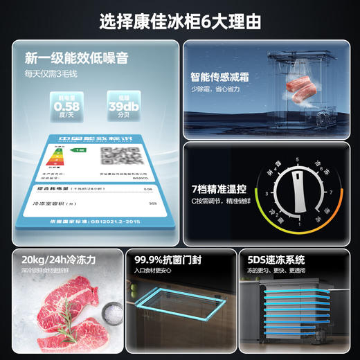 203升大容量家用商用小型冷柜 BG20CD 商品图1