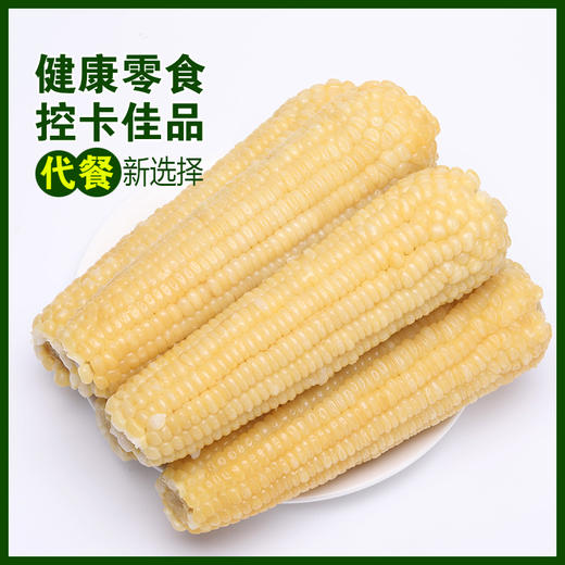 黑龙江 真空白糯玉米（260g/穗）10穗/箱  【木兰优选】 商品图5
