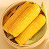 黑龙江 真空黄糯玉米（260g/穗）10穗/箱  【木兰优选】 商品缩略图4