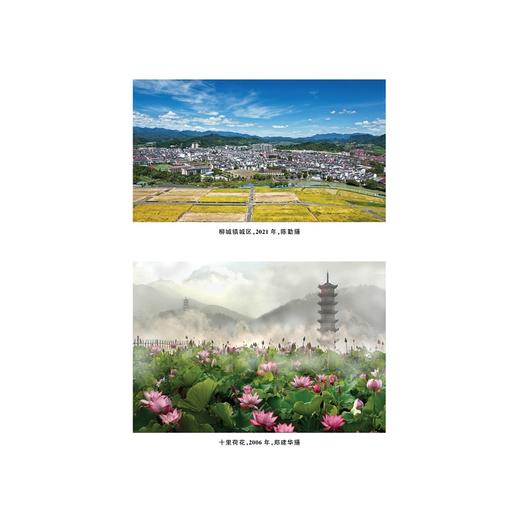 浙江方言资源典藏·宣平/中国语言资源保护工程/雷艳萍著/浙江大学出版社 商品图1