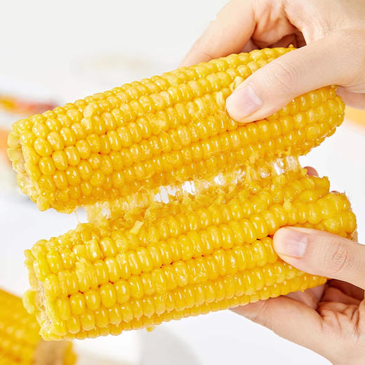 黑龙江 真空黄糯玉米（260g/穗）10穗/箱  【木兰优选】 商品图5