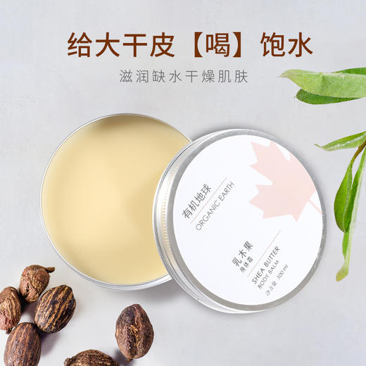 有机地球乳木果身体霜 深层补水保湿润肤拯救干燥脱皮大干皮按摩油 商品图2