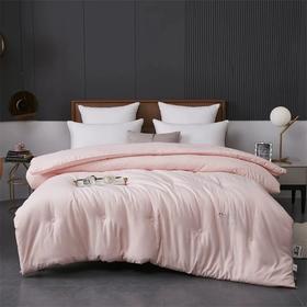 冬被天花板！德绒抗菌保暖A类锦绒抗菌秋冬加厚保暖棉被学生被褥冬被芯