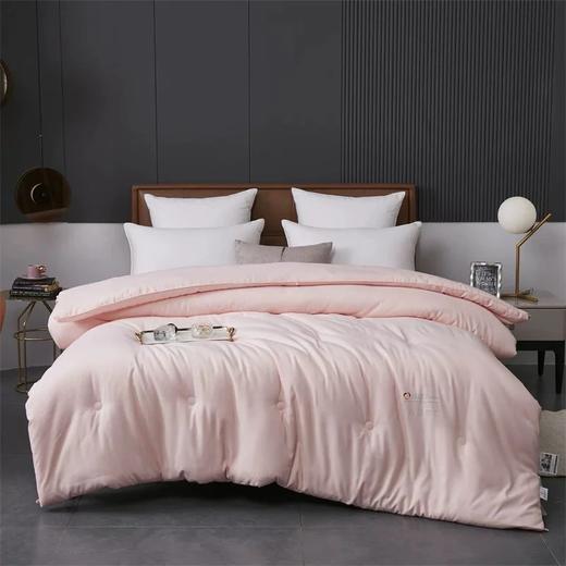 冬被天花板！德绒抗菌保暖A类锦绒抗菌秋冬加厚保暖棉被学生被褥冬被芯 商品图0