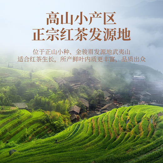华祥庄园-10g颂茗金骏眉+正山小种品鉴茶组合 商品图2